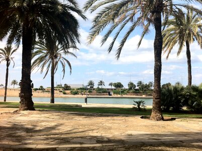 Walkway water trees photo