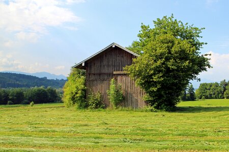 Meadow nature field barn
