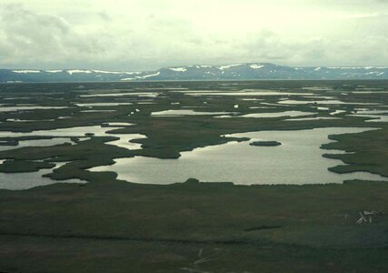 Delta refuge 