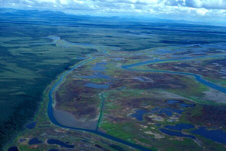 Delta marsh perspective