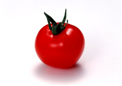 one fresh red tomato photo