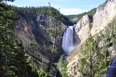 Lower Falls of the Yellowstone River photo