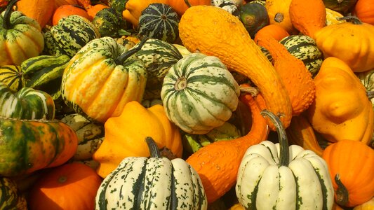 Halloween food autumn