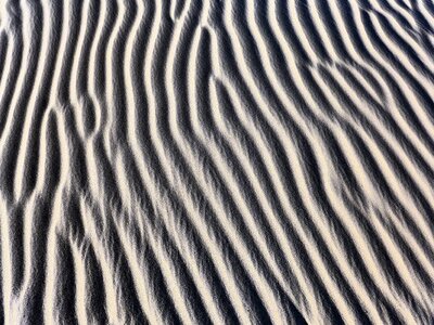 Desert landscape line