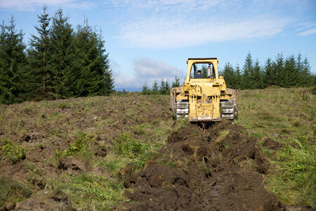 Bulldozer loosens the ground for red spruce restoration