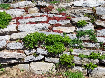 Stonewall border enclosure