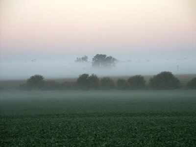 Foggy morning 