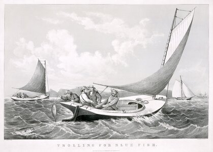 Sail game fish 1866