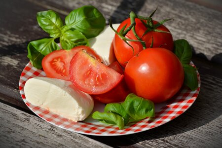 Mozzarella Cheese