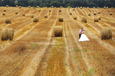 Agriculture hay field hug photo