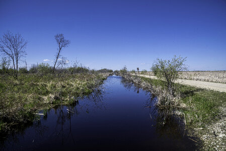 Channel in the marsh near the road at Hecla Provincial Park