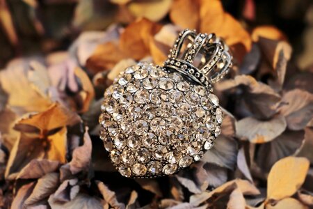 Accessory autumn autumn season
