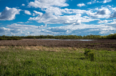 Landscape and Sky at Horicon photo