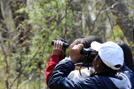 Birdwatching-2 photo