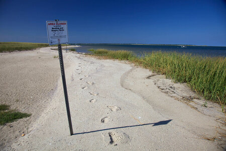 Signs indicating areas closed at  Monomoy NWR