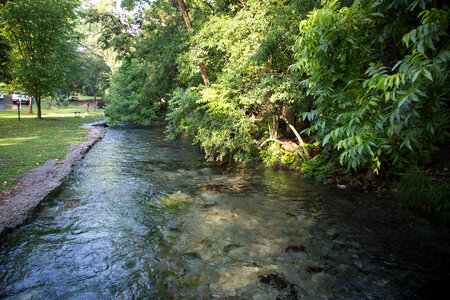 Comal Springs-1