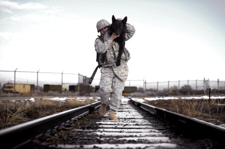 Love pet dog