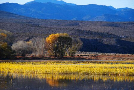 Marshlands scenic sight photo