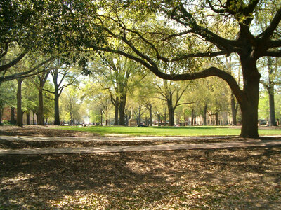 The horseshoe at the University of South Carolina in Columbia photo