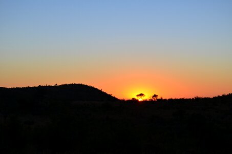 South africa safari silhouette photo