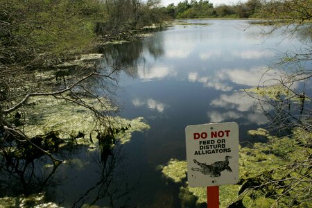 Alligator shield warning