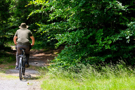 Man Riding a Bicycle in the Forest