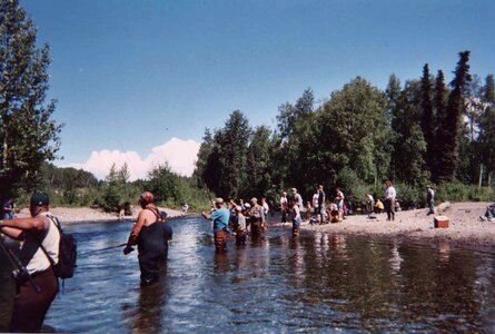 Combat fighting fishery