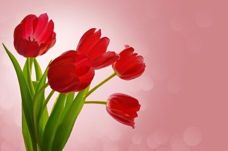 Romance bouquet pink