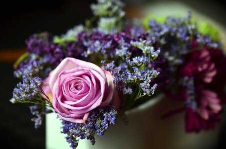 Beautiful Photo bouquet decoration
