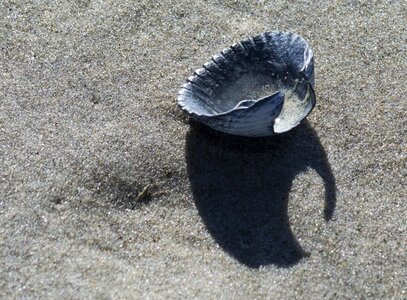 Beach environment ground photo