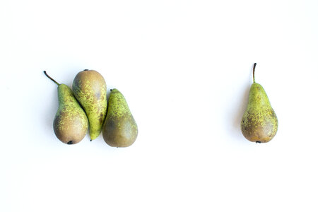 Fresh organic pears on a white background photo