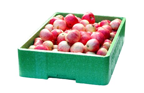 Fruit food transport