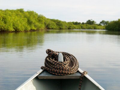 River jungle rep