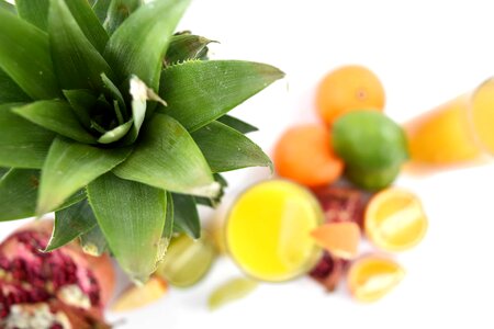 Citrus green leaves pineapple