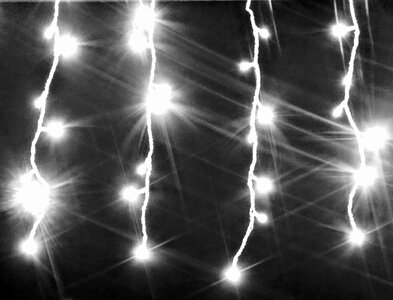 Backlight black black and white photo