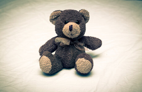 Cute Teddy Bear Sitting photo