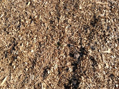Compost dry ground photo