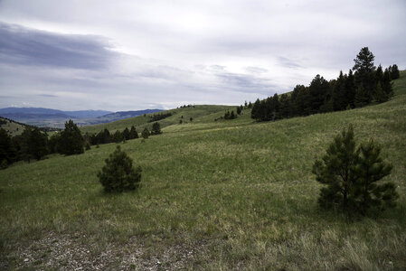 Looking across the grasslands on Mount Ascension, Helena photo