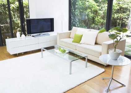 Modern living-room wood floor in green view