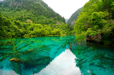 Jiuzhaigou landscape with green water in Sichuan, China