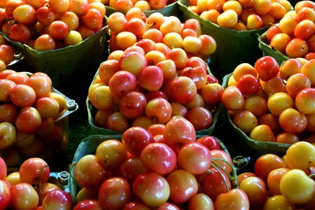 Fresh delicious vegetarian