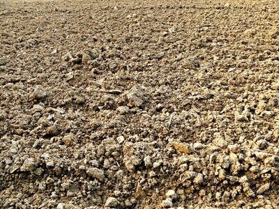 Landscape ground agriculture