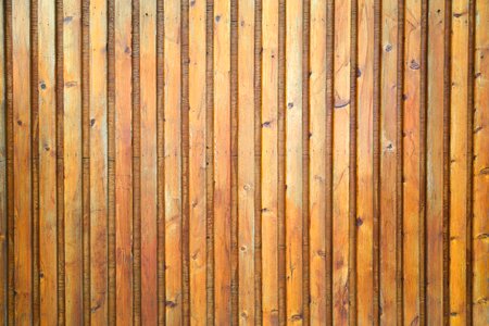 Vertical Wood Texture photo