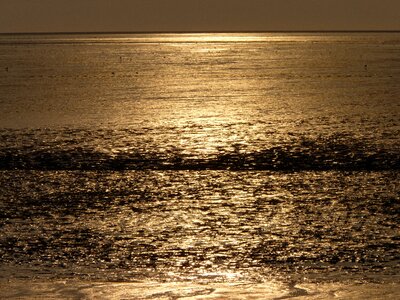 Water sunset sparkle photo