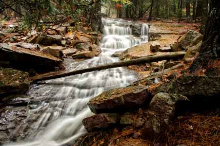 Wild Waterfall in the forest in Acadia National Park photo