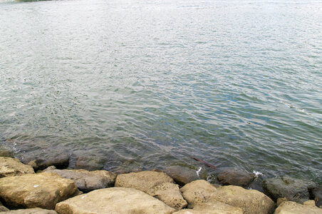 11 The seashore