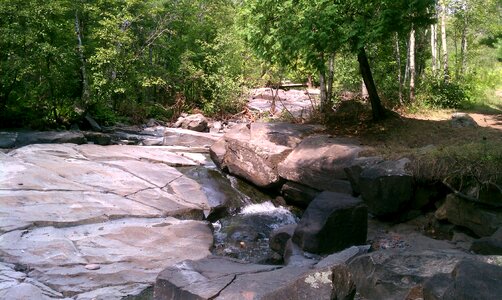 Stone forest natural