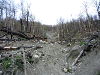 Indian Creek fire photo