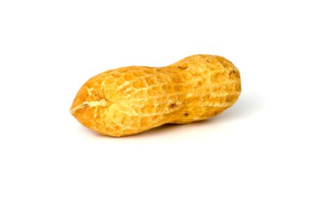 Food whole brown