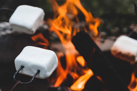 Marshmallows on Camp Fire photo